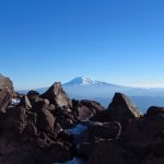 91影院视频在线观看 256f9