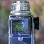 免费V片所有免费网站 3e05zqsxpu