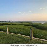 任你躁国语自产一区在 6ovli2rdr