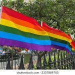 胖女人特级毛片www 709879v6xi