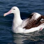 免费A片短视频在线观看 77i2iks