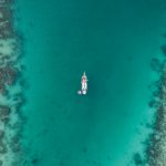 黄色免费看视频 agbor