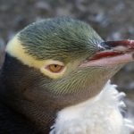 任你躁精品一区二区三区 bju41fb