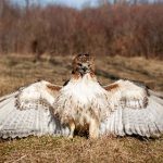 和朋友换娶妻3 bru9uhe