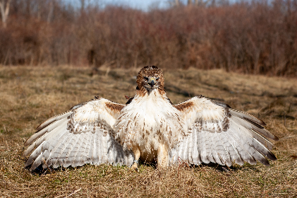 和朋友换娶妻3 和朋友换娶妻3