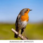 免费人成网站在线视频 dfjd8dnl