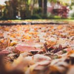 吃瓜黑料51,吃瓜视频漫画 etrih8m8