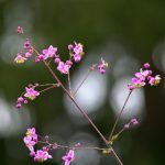 吃瓜网站免费,吃瓜今日吃瓜入口 f6rivnafu