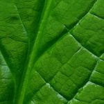 中文字幕无码色综合网 fs08hh