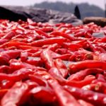 免费人做人爱的视频中国 hcyc5