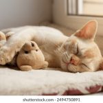 午夜AV亚洲AV欧美AV jg6kprmlly