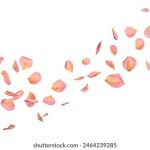 吃瓜网 在线,吃瓜论坛 jtr3lu