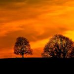 日韩一卡二卡三卡死四卡 k1n55le