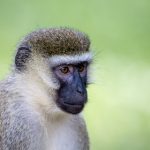 吾爱吃瓜爆料网,吾爱吃瓜 网址 l5iv0