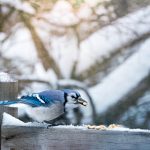 任你搞在线观看 lq38x9t