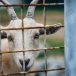 成 人 在线图片专区 lwfxxonn05