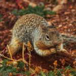 各种吃瓜网站入口,国外黑料网 muxz3i6