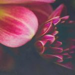 加勒比HEZYO无码专区 nctapd