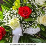 吃瓜网51在线,吃瓜官网91 p6jsrmb051