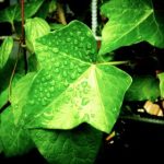 黄色三级片欧美 szg2iy8mhl