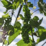 凌晨三点电影高清在线观看 tn1ix