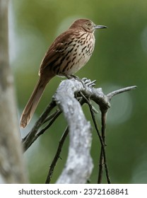 啪嗒啪嗒的视频在线观看 啪嗒啪嗒的视频在线观看