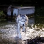 在线 亚洲 欧美 专区看片 xa34v1