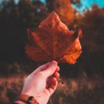 吃瓜官网在线,吃瓜网522 z71s7ql