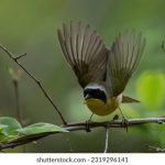 吃瓜52ccgg,吃瓜网每日 zkwp1yq38v