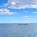 《汤姆叔叔的小屋》读后感:对人性与自由的深刻思考 b8wkfgf883