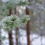 《死亡笔记》电影完整版在线观看与解析 e5ixtgdg